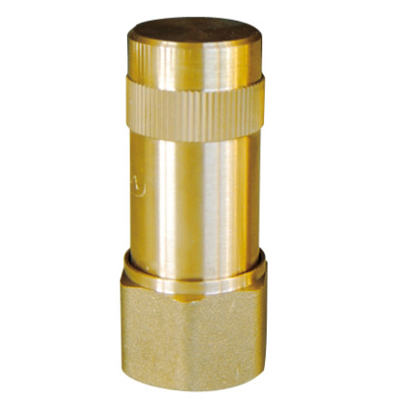 Anti-Bélier à ressort 2" F laiton ACSprégonflé 3,5 bar Pmax 10b Tmax 100°C