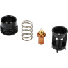 Cartouche Thermostatique pour TC61 ERP