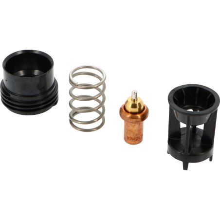 Cartouche Thermostatique pour TC 72 ERP