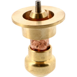 Cartouche Thermostatique pour TC72 LPièce détachée TERMOVAR COMBI